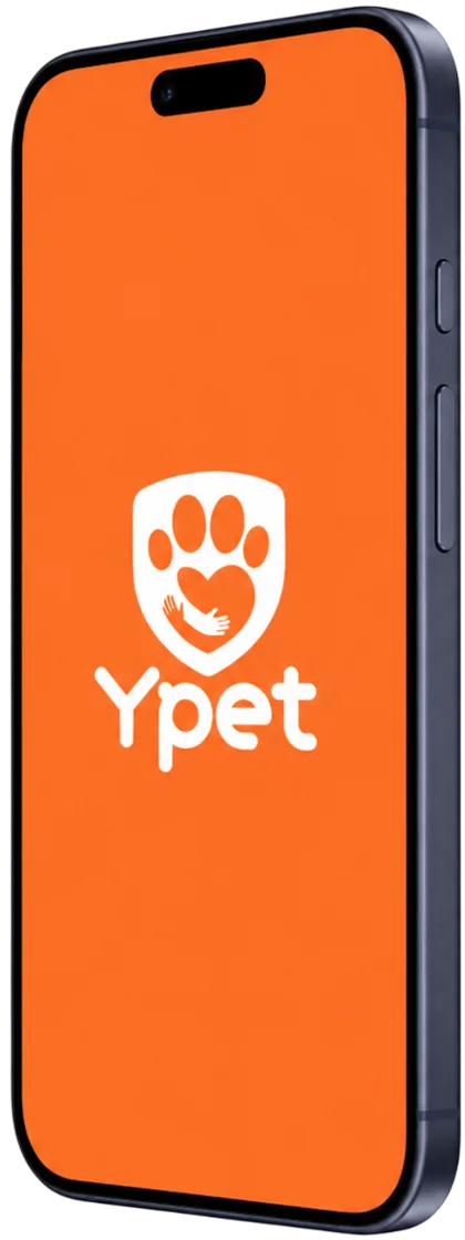 O app da YPET no celular